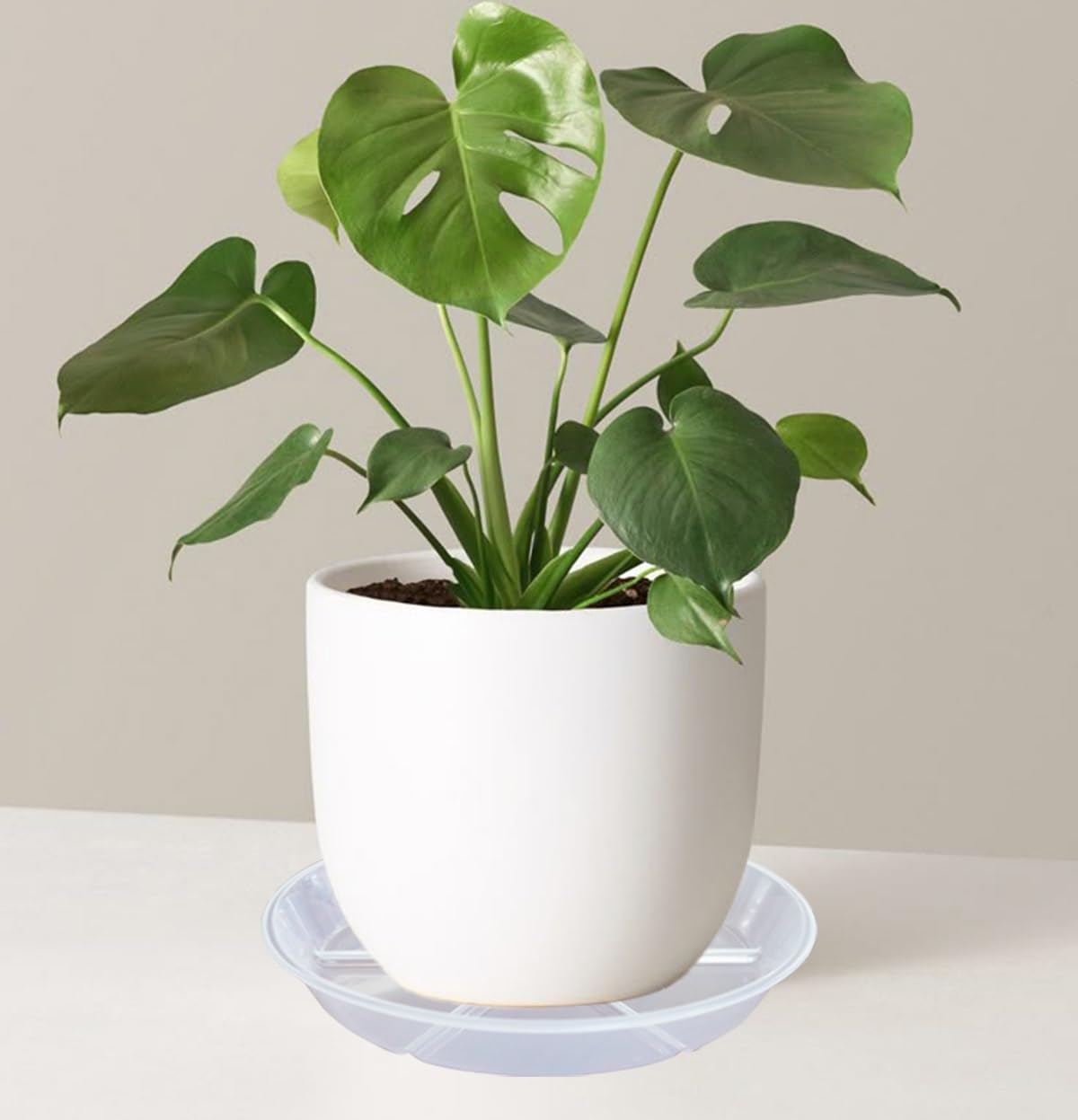 MSKIAUO 6 Pack Plant Saucers, 12 inch Clear Plant Trays, Durable Round Plastic Flower Plant Water Drip Tray for Pots Planter, Heavy Duty Plant Dish Pant Plate to Catch Water for Indoor & Outdoor