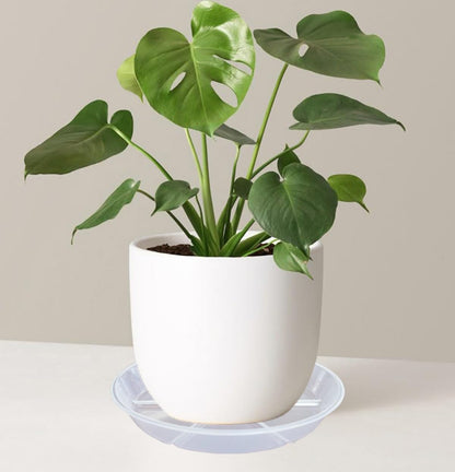 MSKIAUO 6 Pack Plant Saucers, 12 inch Clear Plant Trays, Durable Round Plastic Flower Plant Water Drip Tray for Pots Planter, Heavy Duty Plant Dish Pant Plate to Catch Water for Indoor & Outdoor