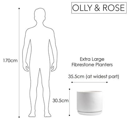 Olly & Rose Large Matt White Flower Pot Tall Planter 35.5cm Extra Large Fibre Planter with Saucer - Large Indoor and Outdoor Plant Pot