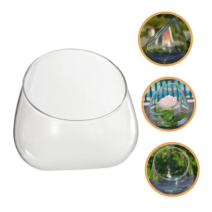 VICASKY Glass Landscape Bottle for and Air Plants Multi-Purpose Terrarium Container for Home Decor and Creative Displays
