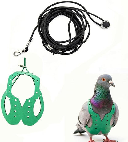 Adjustable Bird Harness & Leash Set for Small Birds,FitsBudgie,Parakeets, Conures, Cockatiels,Green Cheek,Quaker Parrots(Green, 2XL) Z6350-14