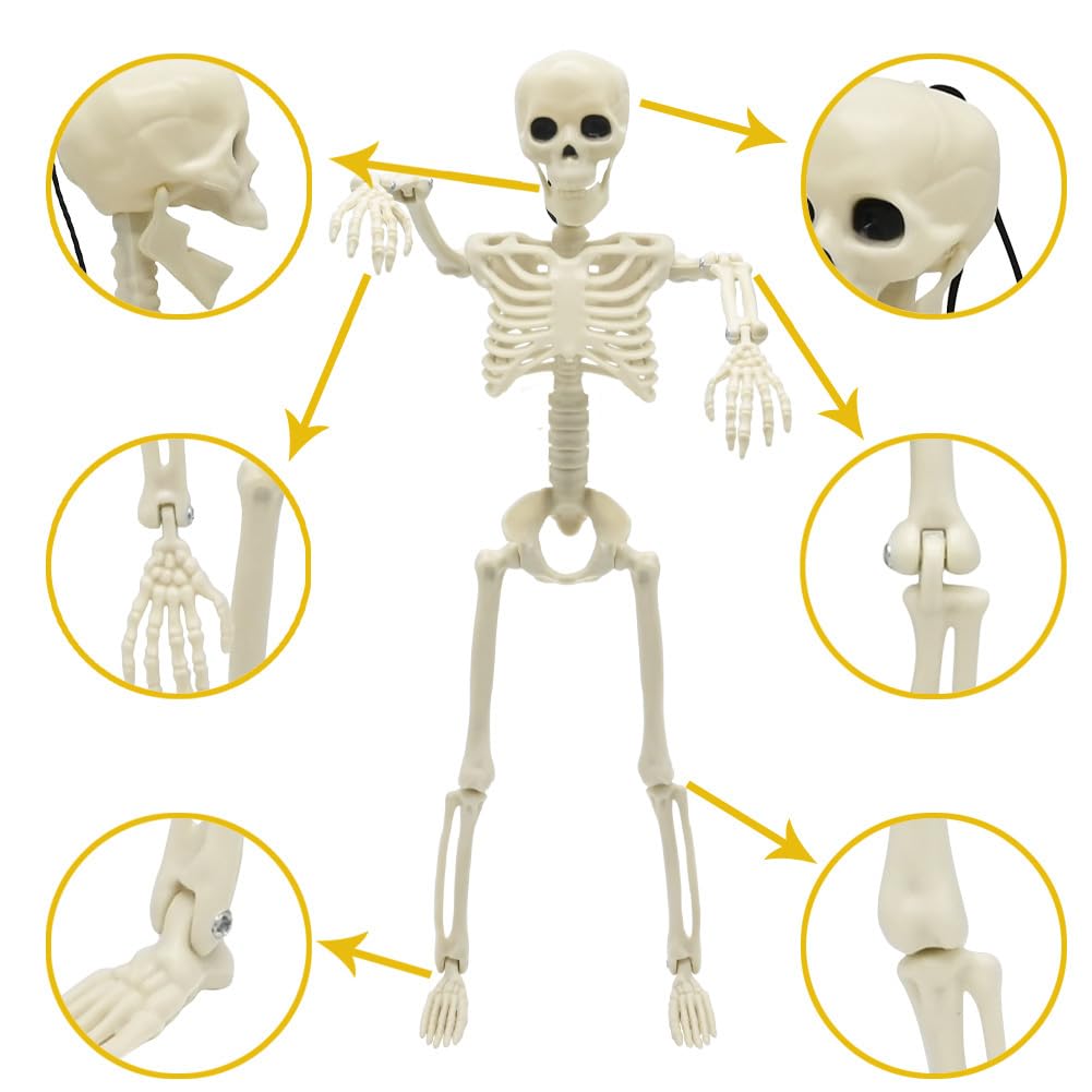 CAMIRUS 5PACK Halloween Skeleton Decorations, 16" Full Body Mini Skeletons with Poseable Joints for Yard, Garden, Lawn, Patio, Party Favors & Decor, 5pcs