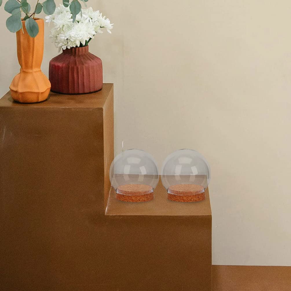 Sewroro 4 Pcs Clear Glass Cloche Globe Display Dome with Cork Base Glass Plant Terrarium Preserved Flower Dome Cover Keepsake Globe Display Case for Lamp Succulents Home Decor