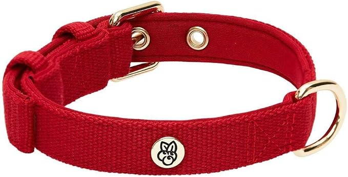 Blueberry Pet Classic Red Dog Leash & Collar Set, Puppy Essentials, Medium Size, 4 ft Rope Leash, Neoprene Padded, Gentle Leader for Dogs, Heavy Duty Dog Leashes for Large Dogs