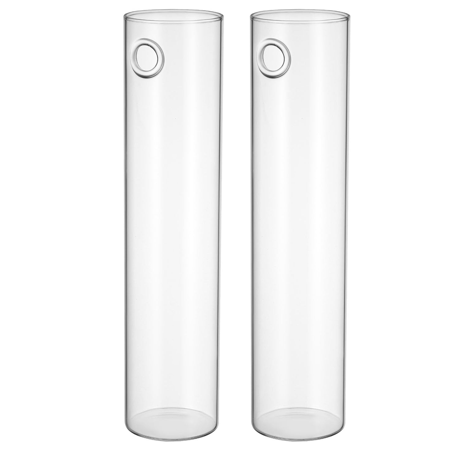 PRETYZOOM Wall Vase for Flowers Hanging Indoor Plants Holder Glass Cylinder Hydroponic Planter Large Tube 2pcs Wall-Mounted Terrarium for Home Décor
