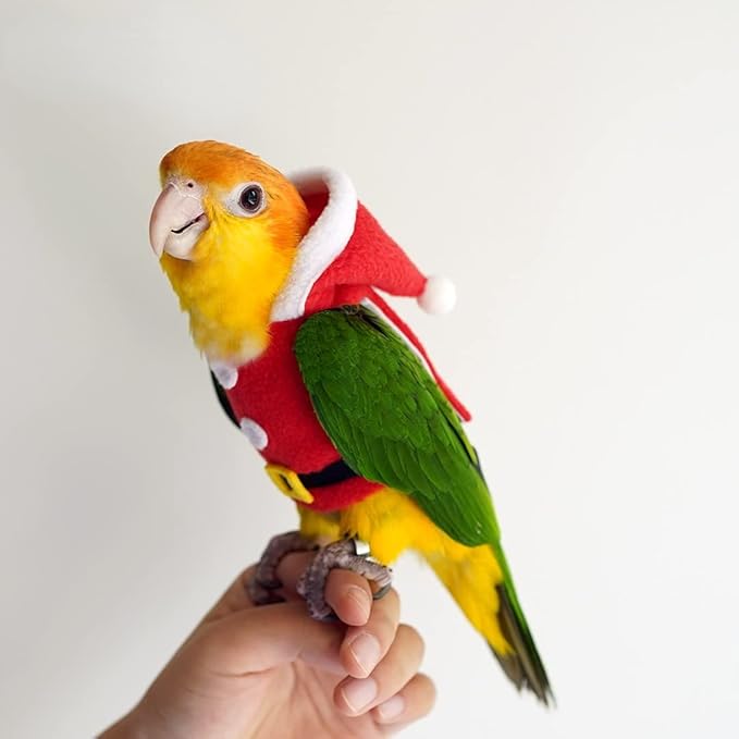 Bird Clothes Birds Flight Suit, Christmas Hoodie for Parrots Cockatiel Sun Conure Christmas Party Cosplay Photo Prop Bird Shirt Small Animals Apparel (Without Diaper,Lorikeet)