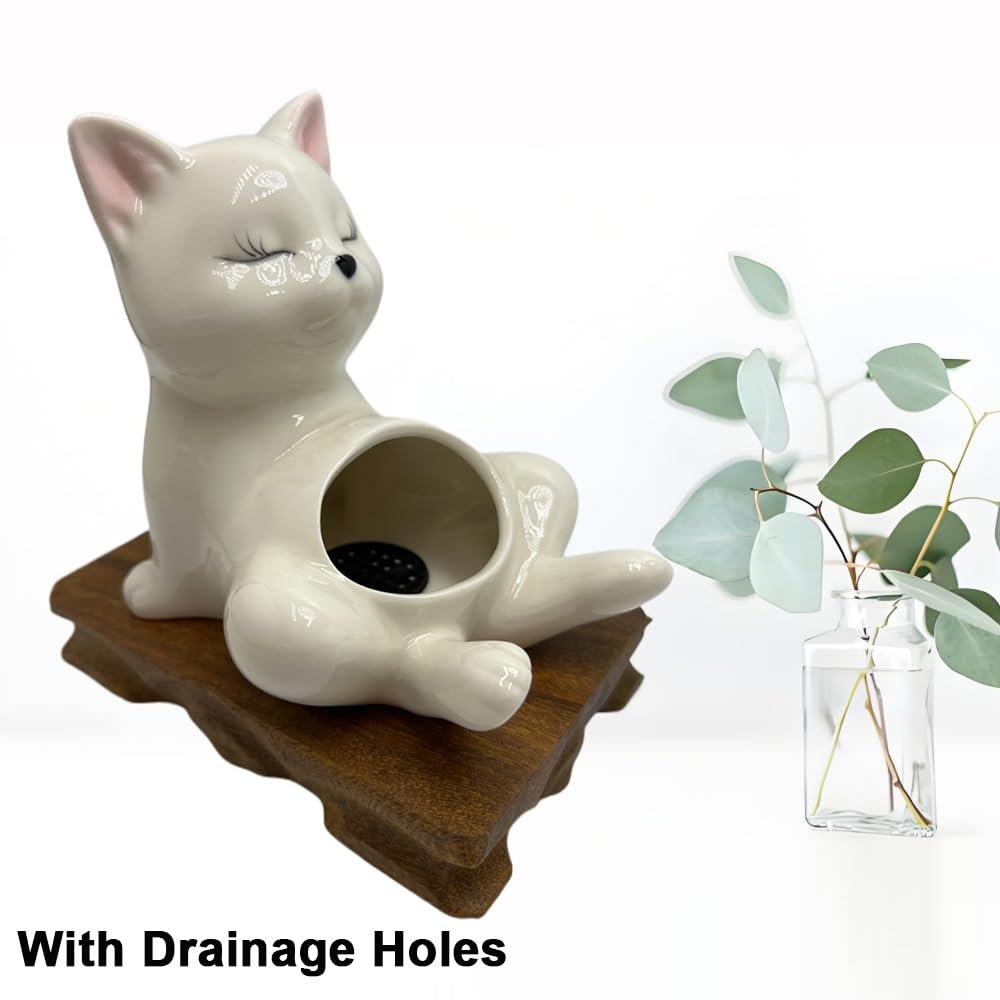 BEECO GIF2U Cute Succulent Pots,White Ceramic Indoor Planters with Drainage and Wood Tray,Round Shallow Flower Plant Pots Decoration Cat