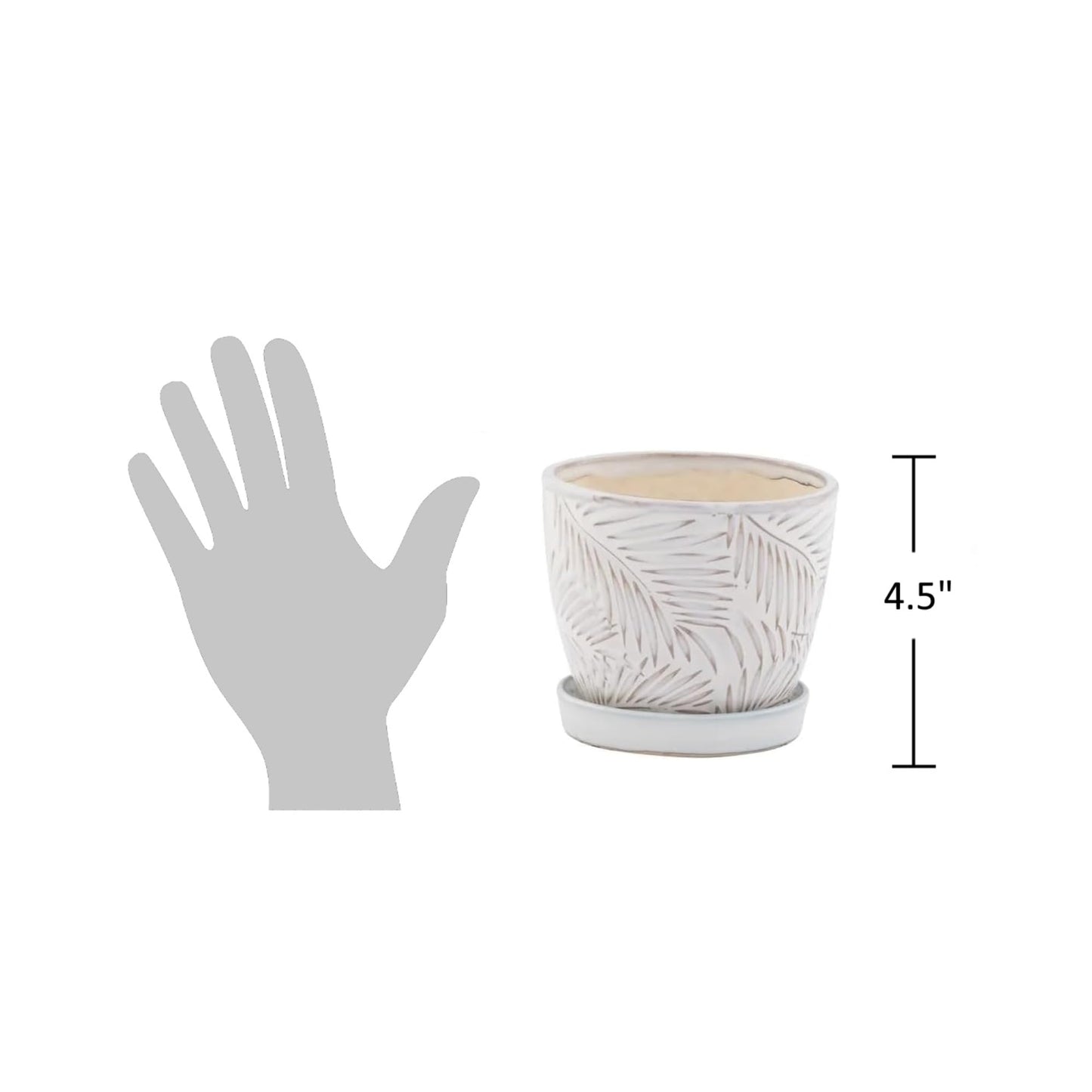 The Bridge Collection - 4.5" White Plant Pot with Drainage Hole and Saucer – Textured Palm Leaf Design - for Indoor or Outdoor Use - Home and Garden Decor