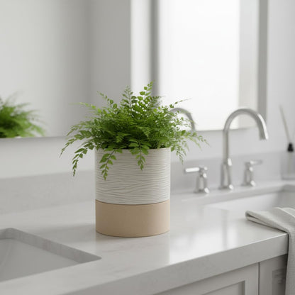 Nihow Self Watering Plant Pot: 6 Inch Ceramic Planter with Drainage Hole & Water Storage Plus for Indoor & Outdoor Plants - Cylinder Round Flower Pot for Succulent/Herbs/Violets - Cream White & Brown