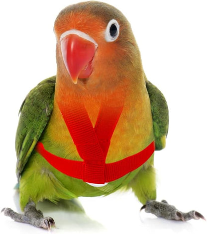 Pet Parrot Bird Harness Leash Adjustable Bird Flying Harness Traction Rope with Cute Wing for Parrots Pigeons Budgerigar Lovebird Cockatiel Mynah Outdoor Training Toy (Red,XS)