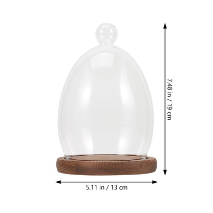 Abaodam Glass Display Dome Cloche with Wooden Base Glass Cloche Dome Display Showcase for Plants Dessert Cake Collectibles Figurine Flower Storage Christmas Party Favor Decoration