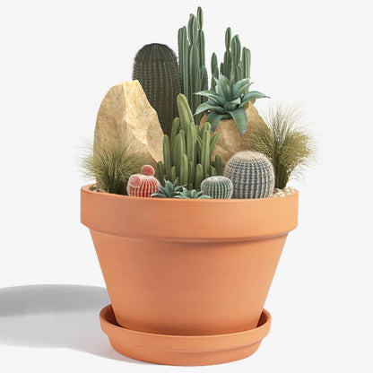 vensovo 8 Inch Terracotta Pots with Saucer - 1 Pack Large Terra Cotta Pot with Drainage Hole, Clay Planters Pot for Indoor Outdoor Plant