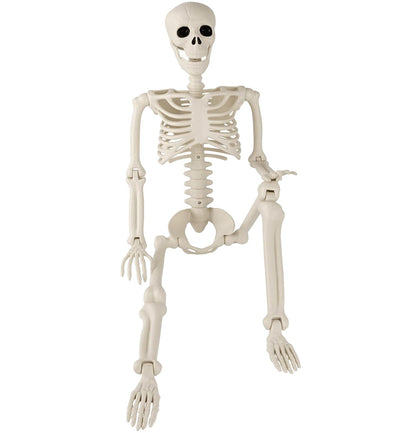 Toolterritary 36" Halloween Skeleton, 3 ft Human Skeleton Full Body Posable Joints Plastic Skeleton for Halloween Decoration, Yard Patio Lawn Garden Skeleton Spooky Party Decoration Indoor Outdoor