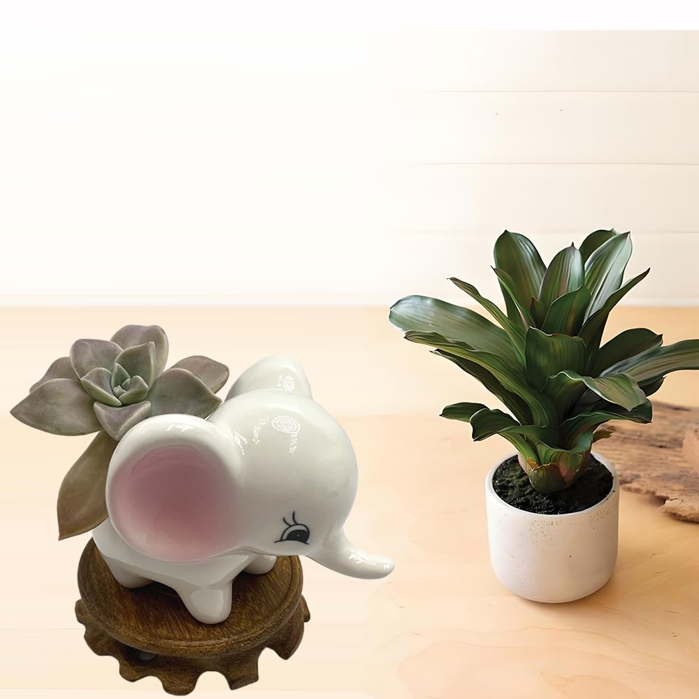 BEECO GIF2U Cute Ceramic Planter Pots,Planters for Indoor Shallow Houseplants Flower and Succulent with Drainage Holes and Wood Tray for Decoration Elephant