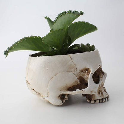 Mikayoo Skull Pen Holder Skull Makeup Brush Holder Pen Holder Dressing Table Office Desk Storage Box Green Plant Flower Pot Halloween Skull (Retro)