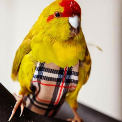 Avian Fashions FeatherWear FlightSuit JrSmall(3) Bird Diaper in BirBerry
