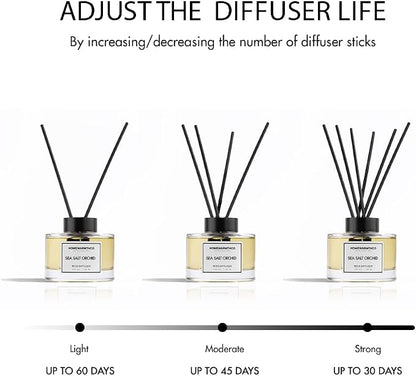 Vanilla Coconut & Citrus Reed Diffuser Set Luxury Fragrance Reed Diffusers for Hotel, Office, Bathroom, Kitchen, Home & Shelf Decor Long-Lasting Scent with Non-Toxic Oils Gift Ready (5.63 oz 160ml)