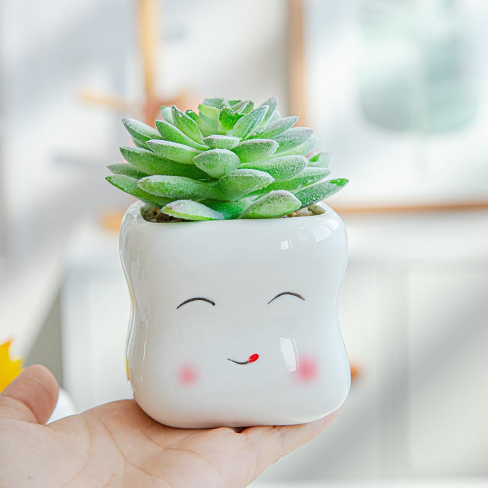 RUIXIAOXI Cute Smiling Cartoon Face Succulent Planter, Small White Ceramic Flower Pot Tooth-Shaped Plant Pot for Small Plants, Home & Office Desk Decoration - No Plants Included (Style B)