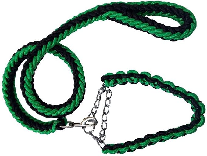 Love Dream Dog Collar and Leash Set, Heavy Duty Nylon Braided Rope Strong 4 FT Dog Leash and Martingale Training Collar for Small Medium Large Dogs Training and Walking (Green & Black)
