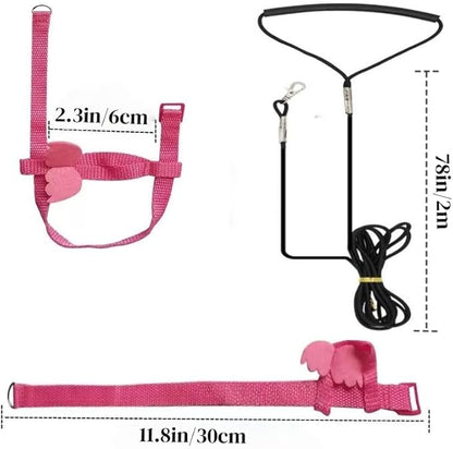 3 Sets Pet Parrot Bird Harness and Leash with Cute Wing, Adjustable Bird Flying Harness Straps Outdoor Training Traction Rope for Parrots Pigeons Lovebird Cockatiel(S,Pink, Yellow&Purple)