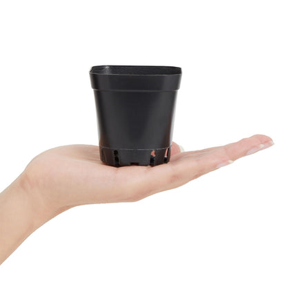 Juvale Square Nursery Pots - Seedling Planters with Drainage Holes - Versatile Pots for Plants & Succulents - Space-Saving Stackable Planters - 2.6 in, Pack of 150, Black