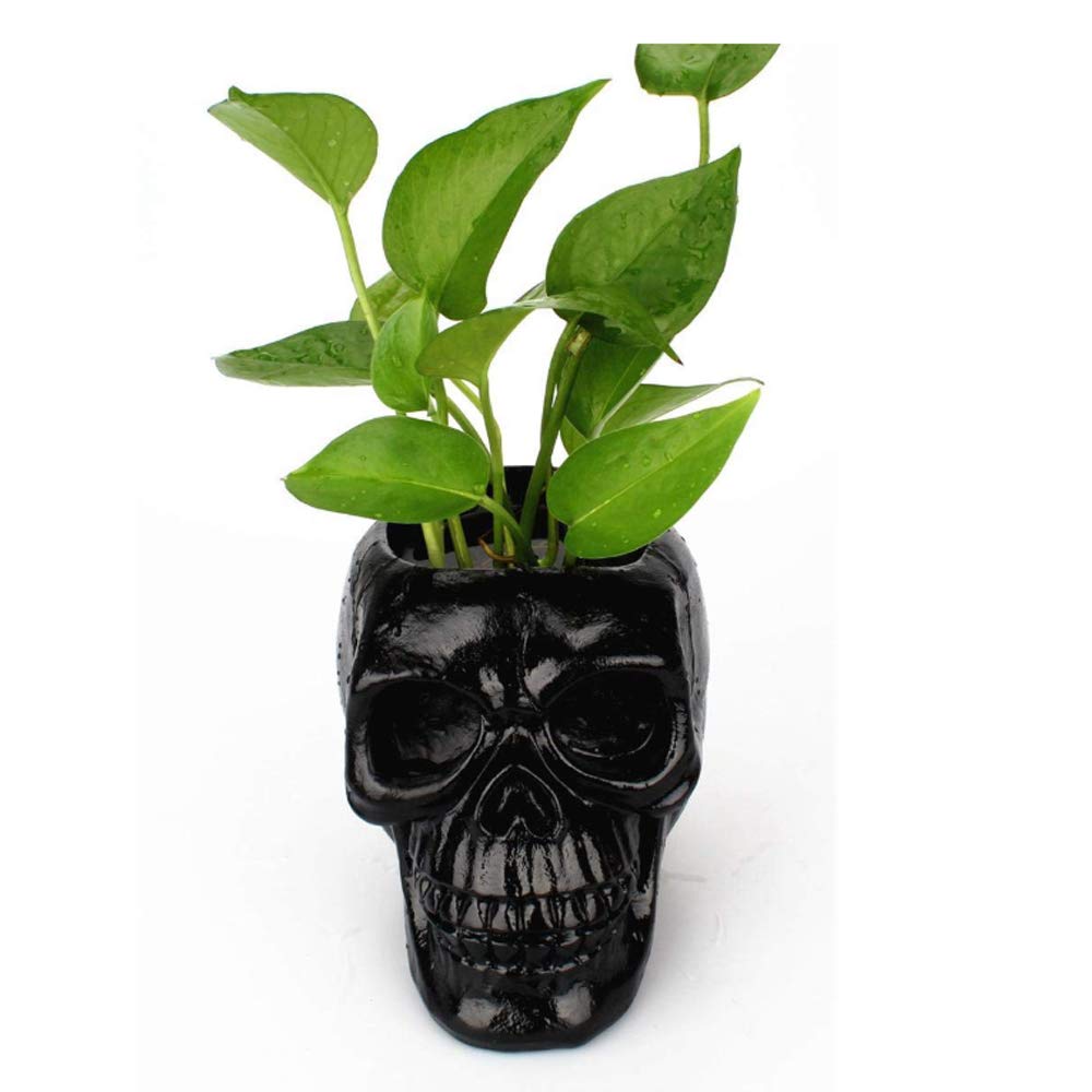 Mikayoo Skull Pen Holder - Makeup Brush Holder & Storage Box for Office Desk or Dressing Table - Green Plant Flower Pot & Halloween Skull (Black)