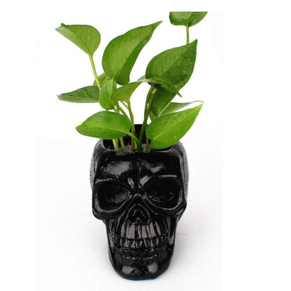 Mikayoo Skull Pen Holder - Makeup Brush Holder & Storage Box for Office Desk or Dressing Table - Green Plant Flower Pot & Halloween Skull (Black)