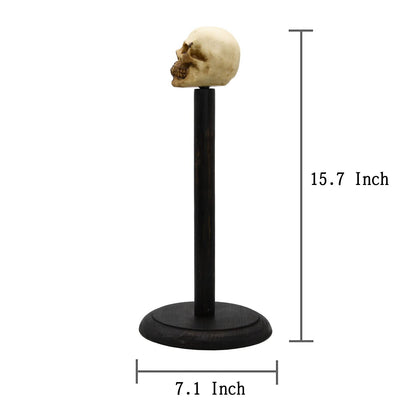 Rustic Wood Skull Paper Towel Holder Stand Up Paper Towel Holder, Easy One-Handed Tear Kitchen Paper Towel Dispenser with Weighted Base for Standard Paper Towel Rolls,Rustic Black