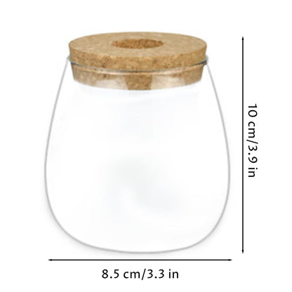 Xoeryoy Propagation Vases for Plants, Clear Glass Terrarium Jar with Wooden Stopper for Hydroponics, Creative Home Decor and Tabletop Plant Propagation Station
