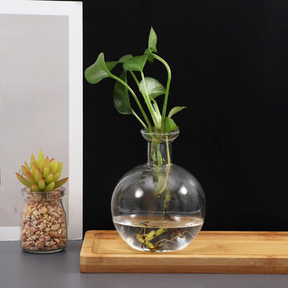 Led Hydroponic Plant Vase, Hydroponic Glass Container Vase Jars, Plant Propagation Station with Wooden Saucer for Desks, Houses, Garden Decorations