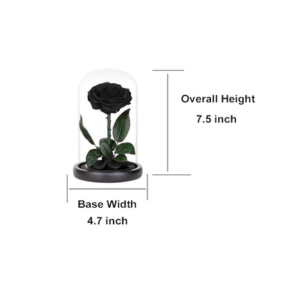Preserved Roses Black Roses in Glass Dome, Medium, Preserved Flowers for Women