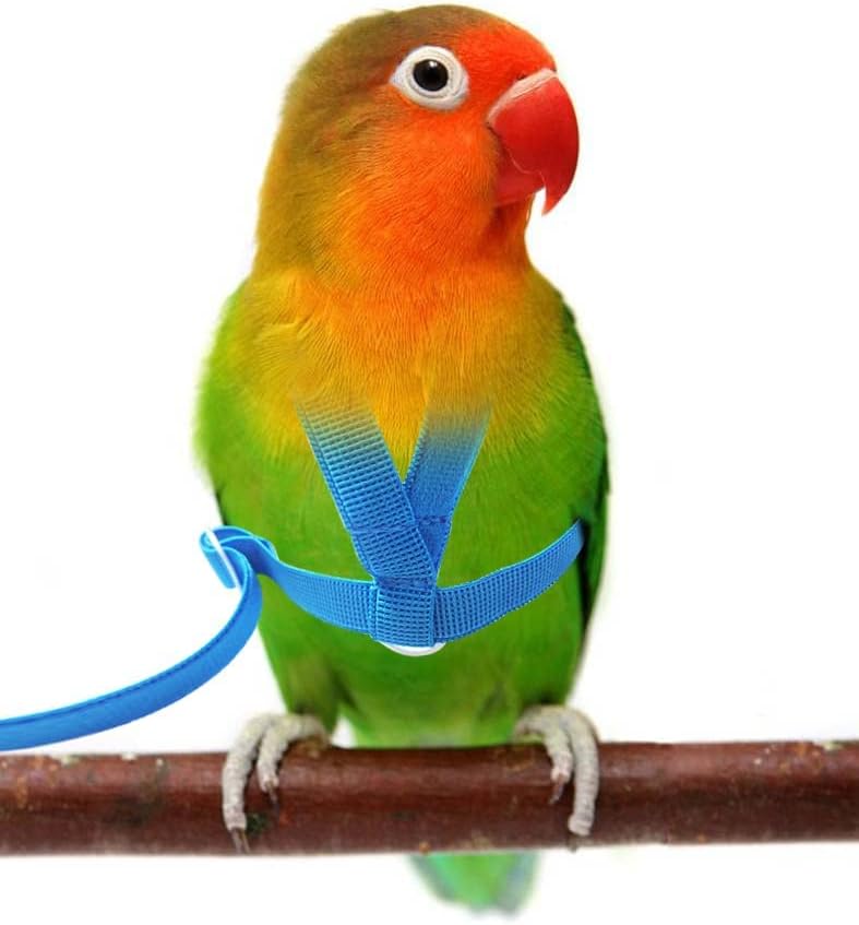 VANFAVORI Adjustable Bird Harness with 80 Inch Leash, XS Size for Peony Parrot Love Bird Weight 40-55 Grams with Outdoor Flying Training Rope, Blue