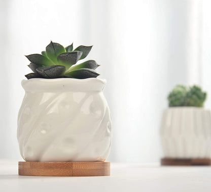 B SEPOR Set of 6 White Simple Porcelain Planters for Small Plant Pots Baby Succulent Cactus with Drainage and Saucer for Home Office Decoration Gift(White Stripes)