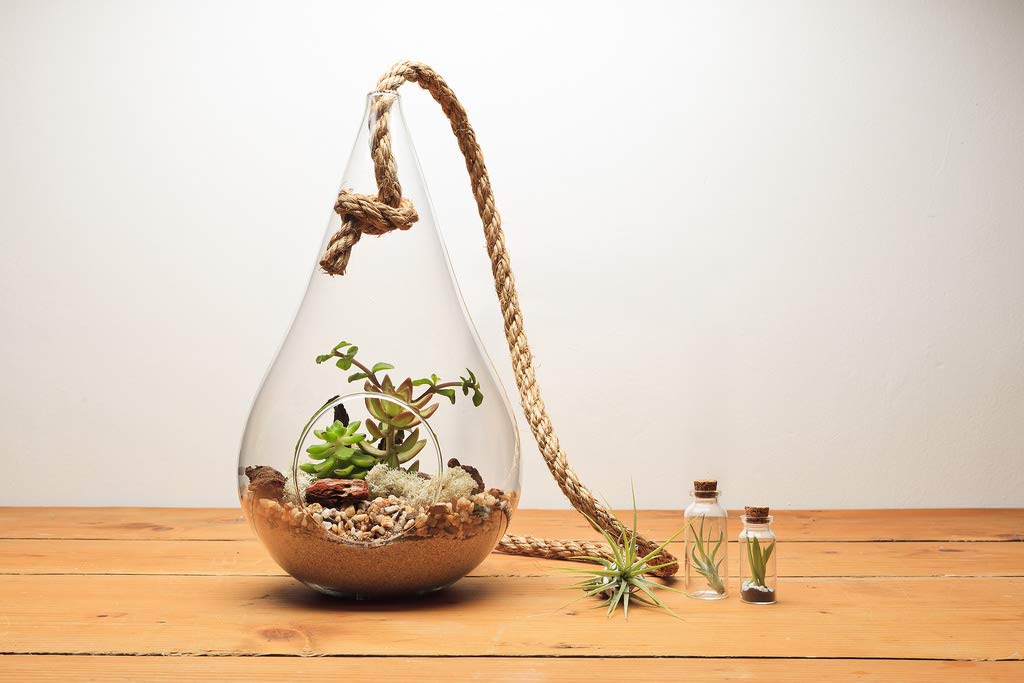 WGV Hanging Planter Terrarium, Width 5", Height 9.5", DIY Clear Glass Succulents Air Teardrop Floral Container (Including Rope), Candle Holder Vase for Outdoor Indoor Decor, 1 Piece