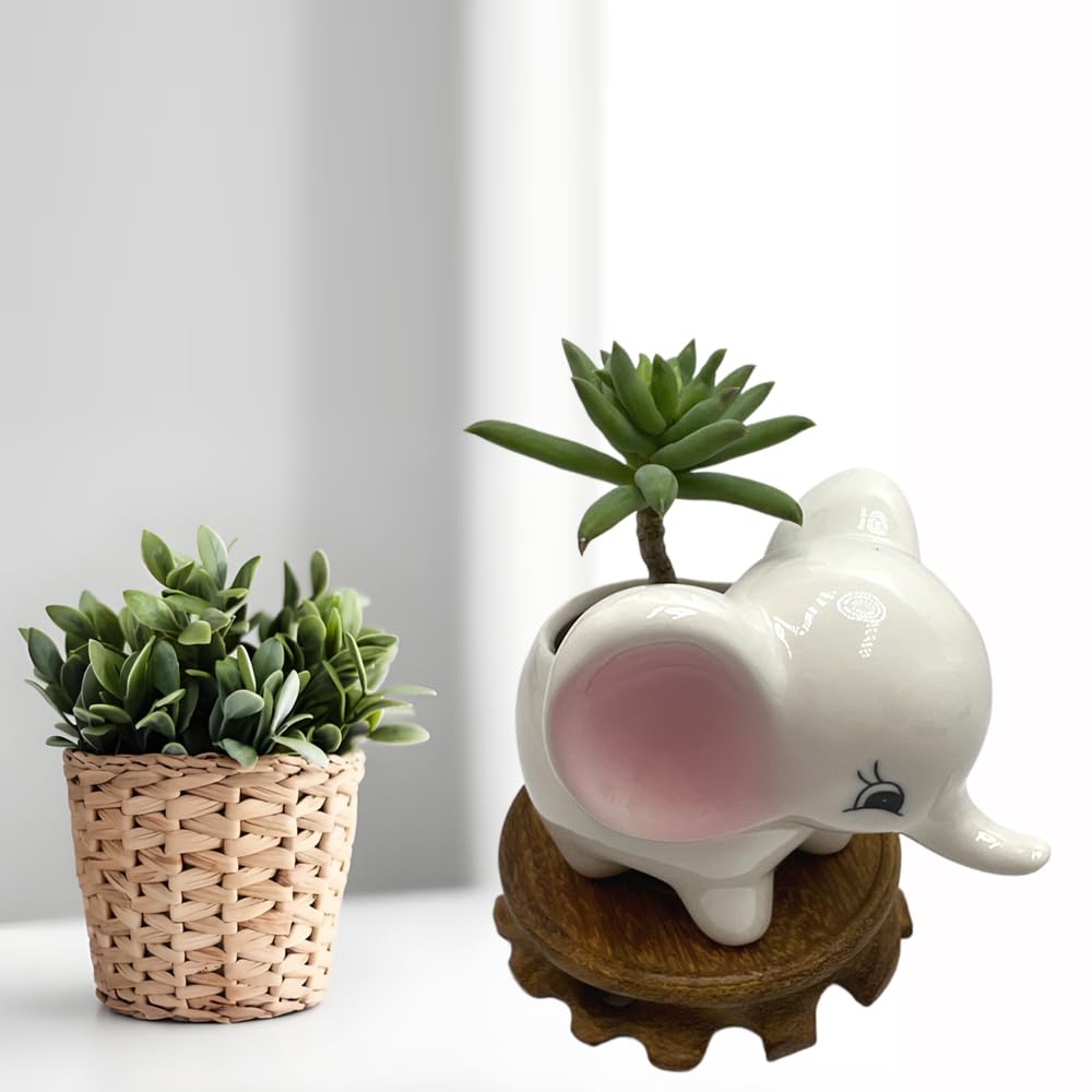 BEECO GIF2U Cute Ceramic Planter Pots,Planters for Indoor Shallow Houseplants Flower and Succulent with Drainage Holes and Wood Tray for Decoration Elephant
