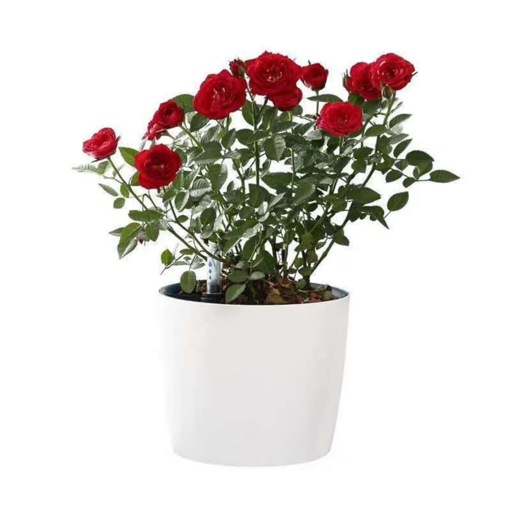 Leoyoubei 7 inch Plastic Self Watering Plant Pots with Water Level Indicator White Set of 1,Modern Decorative Round Flower Pots for All House Plants,Flowers, Herbs,Succulents