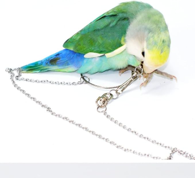 Bird Foot Chain Flying Stainless Steel Training Rope Outdoor Parrot Ankle Foot Ring Accessories Bird Harness Leash Prevent Escaping (4#)