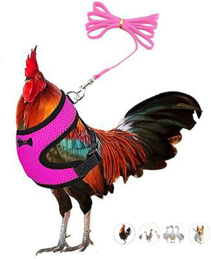Chicken Harness and Leash Set Adjustable Mesh Breathable Duck Training Harness Pets Leashs for Goose Hen Rooster Parrots Dog Kitten, Pink S