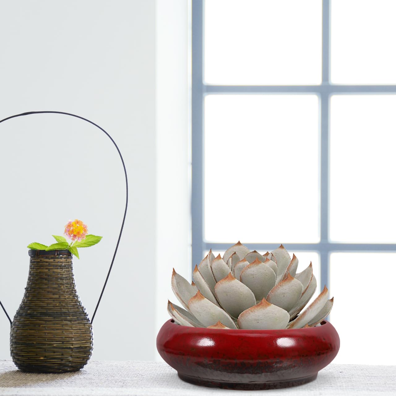 Mipcase Ceramic Water Lily Pot Plant Pot Drainage Clay Bowls for Succulent Plants Random Color