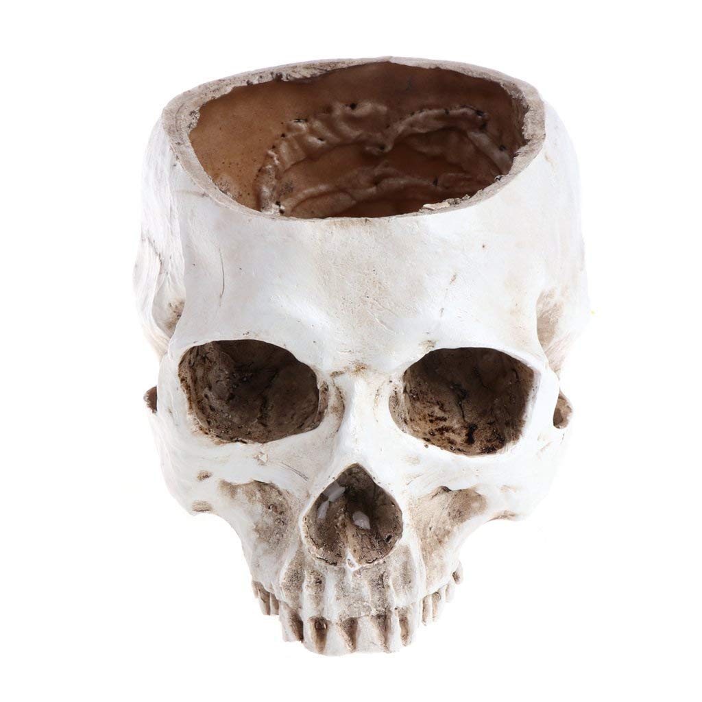 Skull planter , Resin Skull Head Flower Succulent Cactus Planter Pots , Small Object Containers Keys Sugar Candy Bowl, for Home Office Desk Decorations,Halloween Scene Statue Sculpture (White)