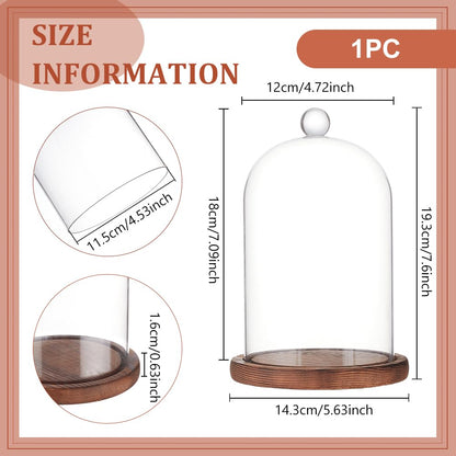 BENECREAT 7x4.5 Inch Glass Dome Cloche with Wooden Base, Rustic Bell Jar Display Clear Glass Bell Cloche for Plants, Fairy Lights or Table Decor