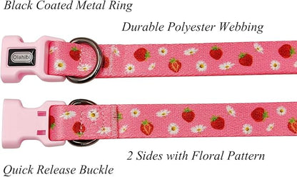 Dog Collar Leash Set, Floral Pattern, Polyester Material, Adjustable Collar and 5ft Matchcing Leash, for Small Dogs.(S, Daisy and Strawberry)