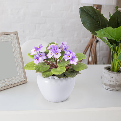 Lovely Ran African Violet Flower Pot Ceramic Self Watering Flower Pot 6.5 * 4.6 * 4 inch Simple Plant Self Watering Pot Indoor Flowers High Absorption Herbaceous Flower Pots Modern Decor Pots