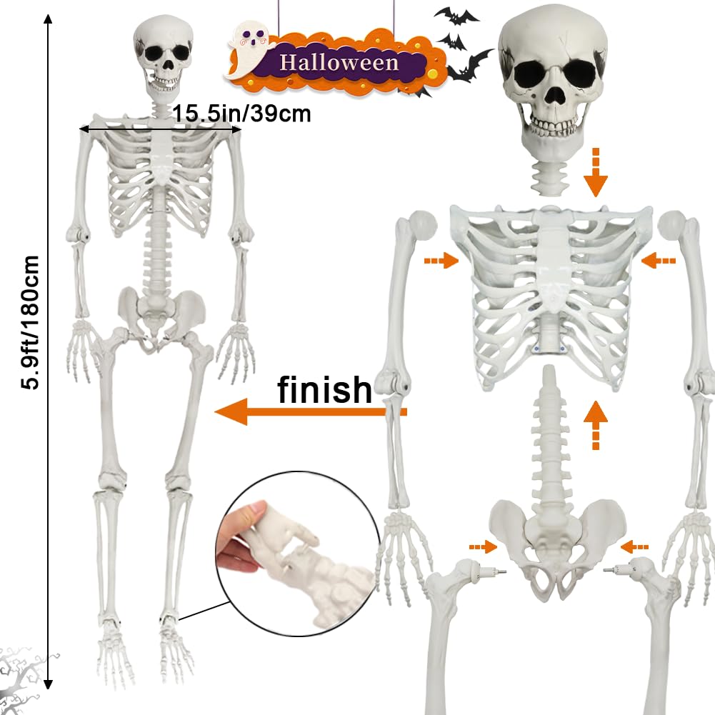 UMEELR 5.9FT Poseable Life Size Skeleton, Plastic Full Size Human Skeleton with Movable Joints for Halloween Garden Party Decoration