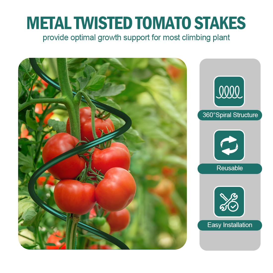 LAKNUAL 58" Green Plant Supports Spiral Tomato Cages, 10 Pack Metal Twisted Tomato Stakes Climbing Plant Stake Tower Outdoor Indoor