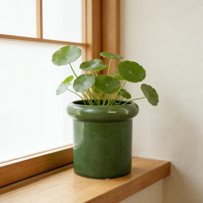 DJMKLCZTTKX Ceramic Flowerpot with Tray,Dark Green Home Decor Planters for Bedroom Balcony and Office,Ceramic Pots for Plants and Perennial Flowers for Housewarming