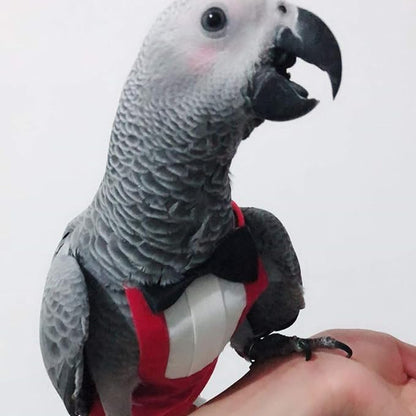 QBLEEV 2 Pack Bird Diapers, Cockatiel Tuxedo Flight Suite, Reusable Parrot Nappy Clothes Costume for Wedding Party Birthday Cosplay Photo, Pigeon Pants Urine Wet Suit for Conure Macaw Budgies Parakeet