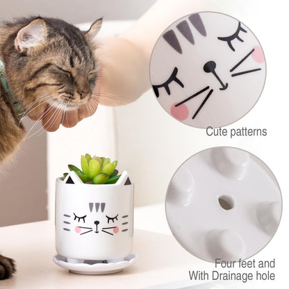 B SEPOR Set of 6 4.25inch Small Ceramic Animal Succulent Planter Porcelain Pots for Baby Succulant with Drainage and Bamboo Tray for Window Sill(Squatting Cats)