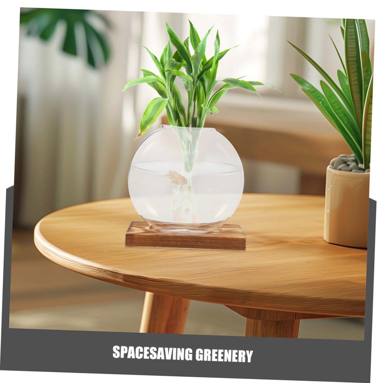 Veemoon 2pcs Glass Vases with Wooden Stand Hydroponic Containers for Indoor Plant Propagation, Desktop Terrarium Containers for Home and Office Decor