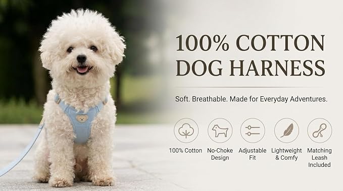 AetruffyPet 100% Cotton Dog Harness for Small Dogs, Soft Breathable Lightweight Vest Harness for Bichon, Toy Poodle, Maltese, Adjustable No-Choke Comfort Fit (Black, S)